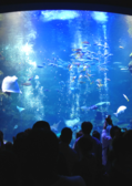 京都水族館