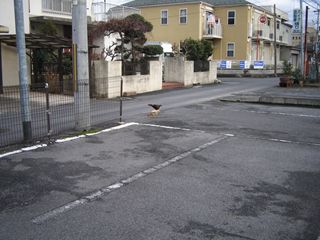 ま、ま、まさかの・・・