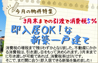 消費税5％ 即入居OK！新築一戸建て